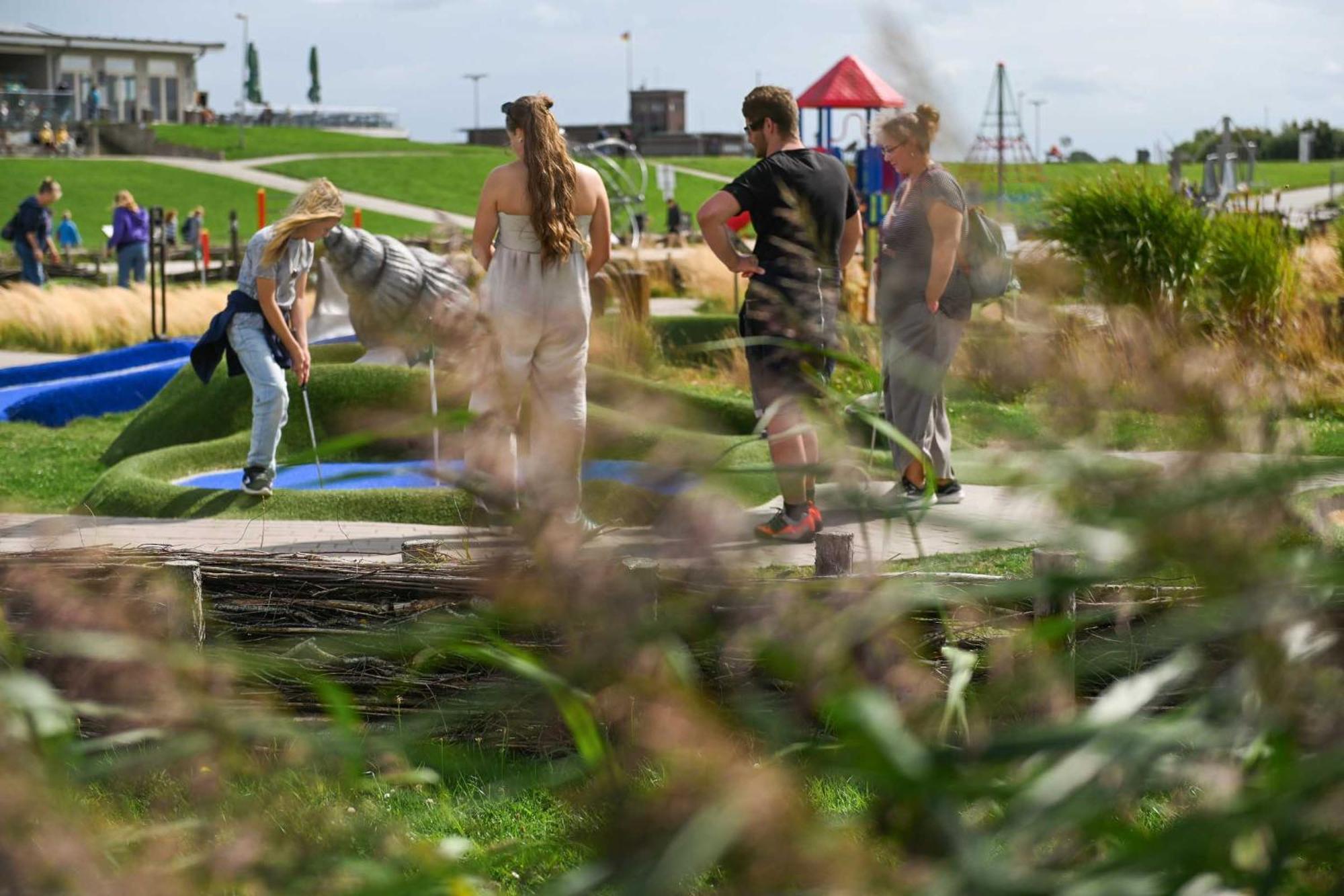 Tiny House Pioneer 18 Zur Meerseite - Green Tiny Village Harlesiel Carolinensiel Eksteriør billede
